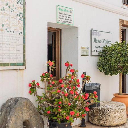Casa De La Montana Apartments Sayalonga Ngoại thất bức ảnh